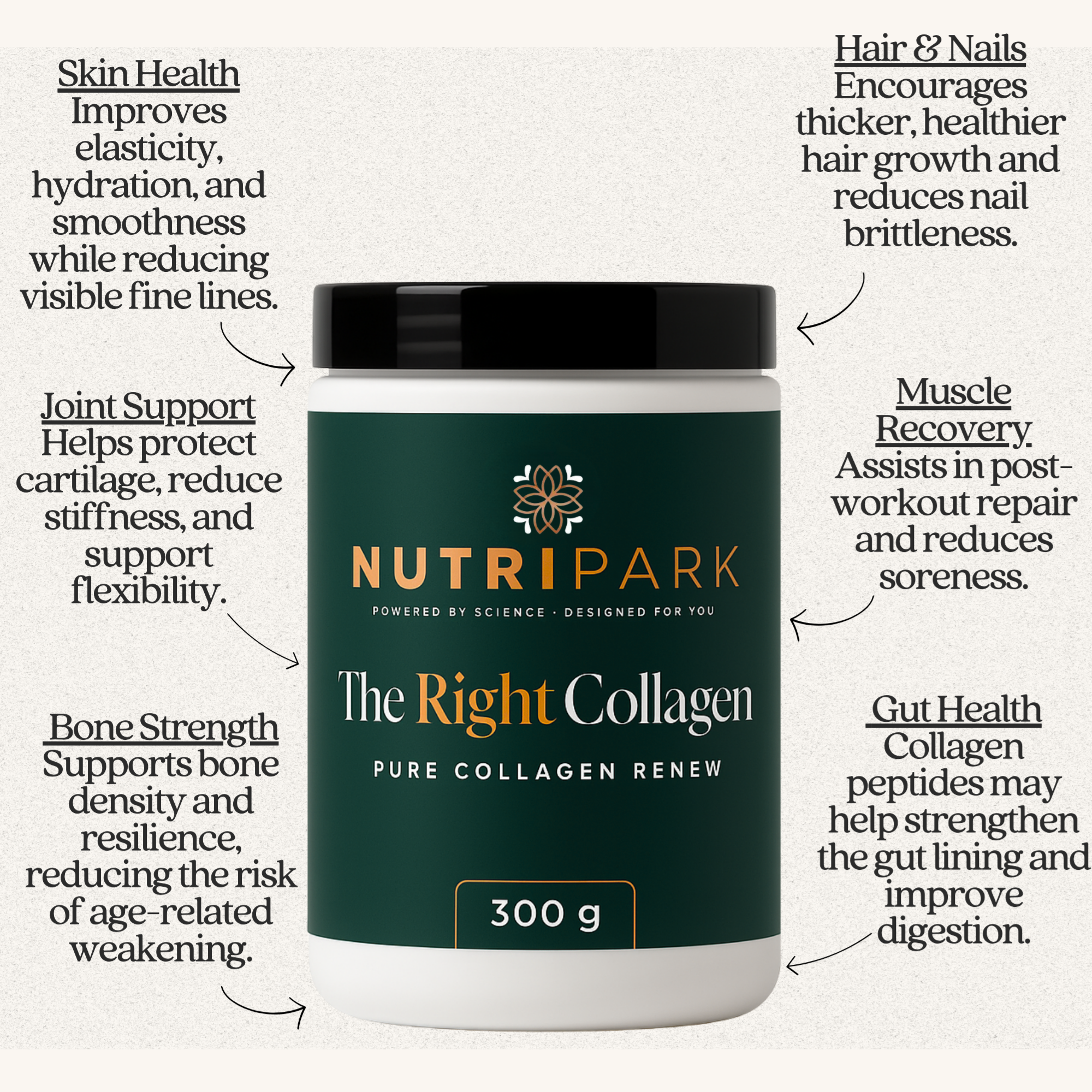 The Right Collagen - Peptan® Type I & III Collagen Peptides