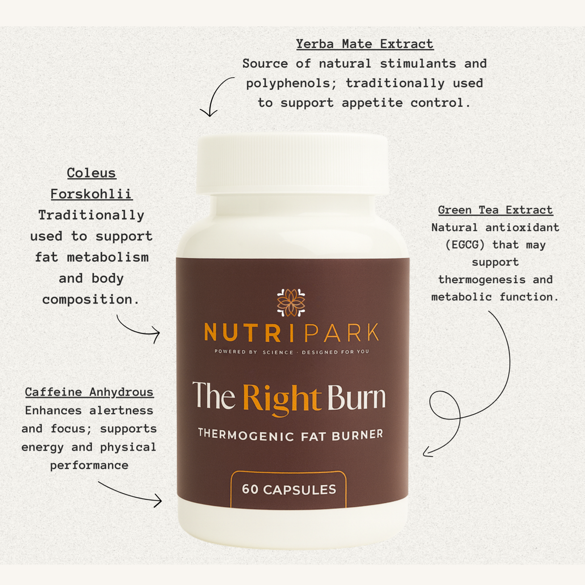 The Right Burn - Thermogenic Fat Burner Capsules